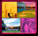 Traditional & Realistic Paintings - Yankee Stadium & Sports Paintings to Cityscape Paintings, Florals and Landscapes. Click to Enter Gallery 2